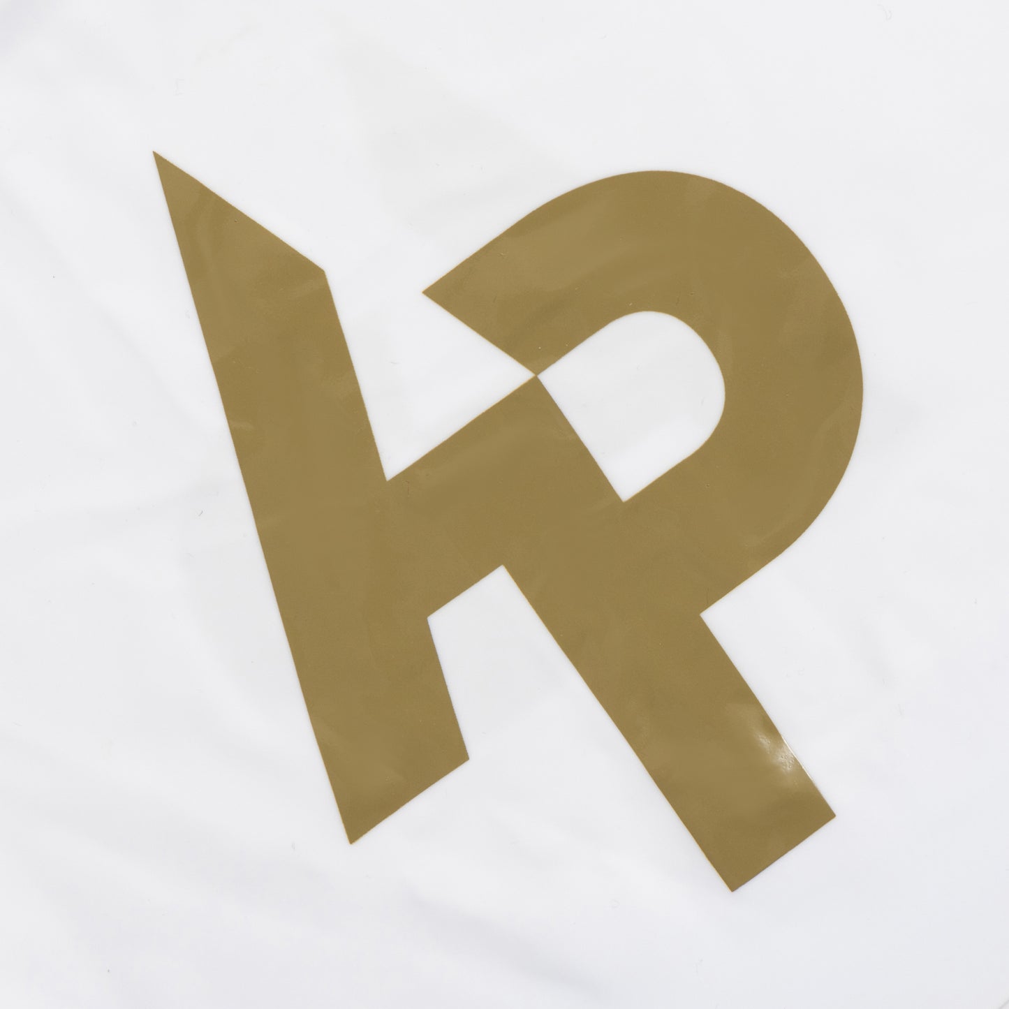 Original Logo Swim Cap White
