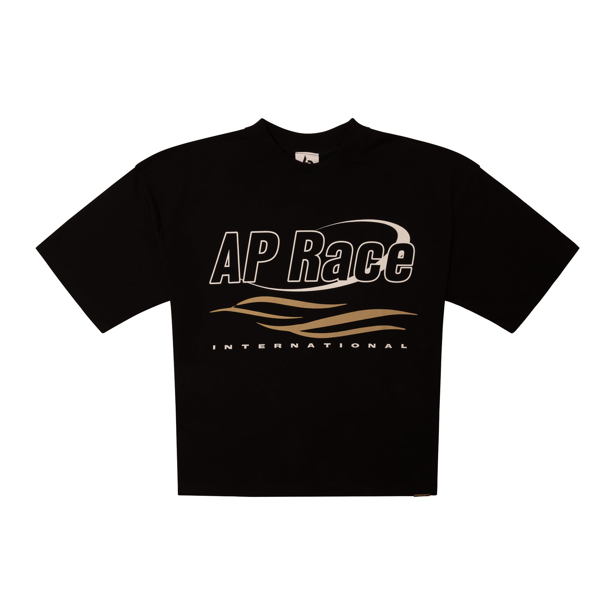 Ap Rac4e Poster AP Race: Competitive Swimming Events & Swim Clinics